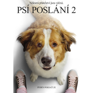 Psia duša 2 N03171 - DVD film